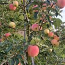 제천시농업기술센터 이미지