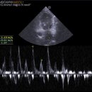 개금동물병원 이미지