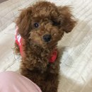 나루터민박 이미지