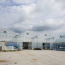 두월농장 이미지