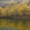 매화농업협동조합 이미지