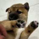 나의 거짓말은 새벽 늦게 자는 것