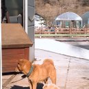 영원7주유소 이미지