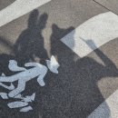 삼씨 PC ZONE | [상하이] 디즈니랜드 DPA없이 주말 주토피아 후기(낮 퍼레이드)