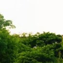 (주)플로시