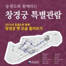 東闕圖가 보여주는 半島朝鮮의 虛構 이미지