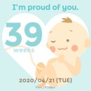 레코드온포토 | 임신 39~40주ღ
