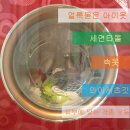 버블세탁 이미지