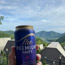 [평창글램핑] 대자연 속 럭셔리 평창 더클라우드 글램핑 솔직 후기