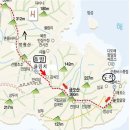 야음주유소 Daum카페