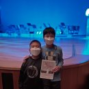 조수미&13인의 빈 필하모닉 플레이어즈 | Love from Vienna 조수미 &amp; 13인의 빈 필하모닉 플레이어즈 콘서트 관람