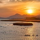 하단동179 이미지