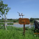 청미천 5 이미지