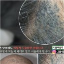 디블랙아카데미