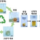 TOP 환경개발 이미지