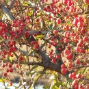 제전 공중화장실 이미지