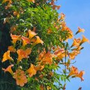 대봉1동 행정복지센터 이미지