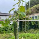 빈이네민박 이미지