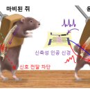 바오엔지니어링