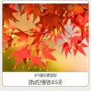 온수도시자연공원(지양산 둘레길) | 지금 떠나면 절정 경남 근처 단풍명소 5곳 인생사진 각