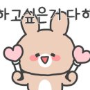비비탄소양사격장