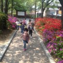 화도진약국 이미지