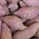 황토농장 이미지