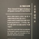 오조룡왕비보 이미지