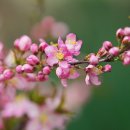 삼정상사 이미지