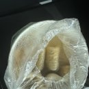 빨간떡볶이 | 부산 3대떡볶이 빨간떡볶이 주말 웨이팅 후기