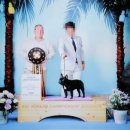 프라임킴 프렌치 불독 | 프렌치불독분양 매력적인 5남매!