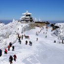 한라산 당구장 이미지
