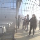 대광 에너지 이미지