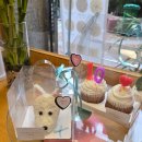 댕냥잇츠 이미지