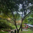 오이코스테이 이미지