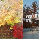 바탕골미술관 이미지