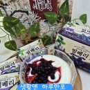 생활앤 하루한포 냉동 빌베리 요거트스무디 레시피