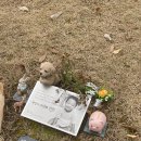 정인목장 이미지