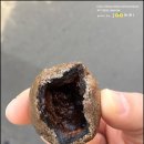 모치의스토어 이미지