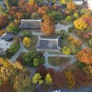 도깨비시장길 (LC마트 정문) | [대구 동구] 토이저러스 롯데마트 대구율하점