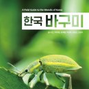 한국바구미(출간) 이미지