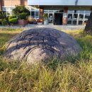 대구제일중학교 이미지