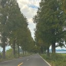 죽동마을회관 이미지