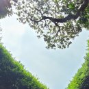 즐겁게놀자 이미지