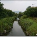 장수천 - 성남시 분당구 대왕판교로 282 | 장수천