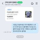 근육고양이잡화점