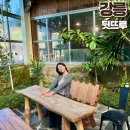 청솔어린이공원 | 강릉 동물원 먹이주기체험 식물원 아이랑 갈만한곳 뒷뜨루