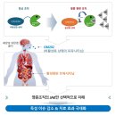 ㈜케이메디(K-MEDI) 이미지