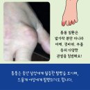 류마제통의원 이미지