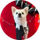 멍프리스쿨 이미지